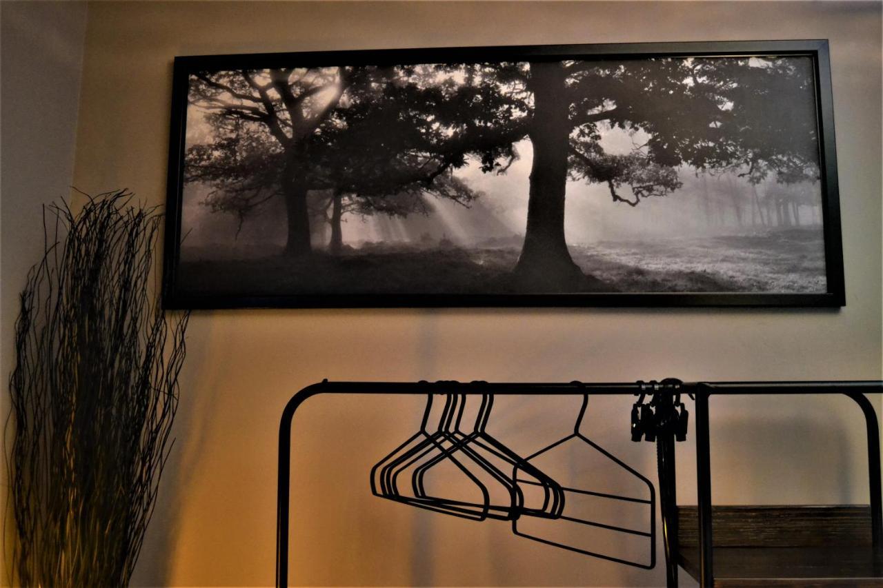 Trieste59 B&B Bagian luar foto